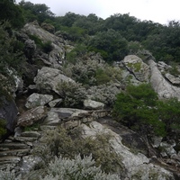 Photo de france - La randonnée du Mont Caroux